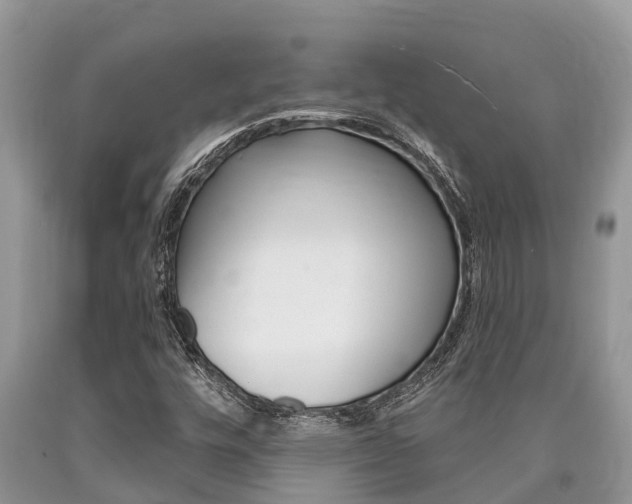 X0000090711448200707200941