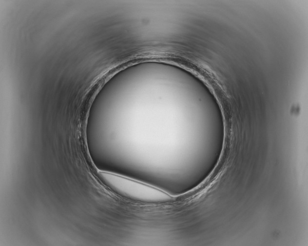 X0000090711449200707200941