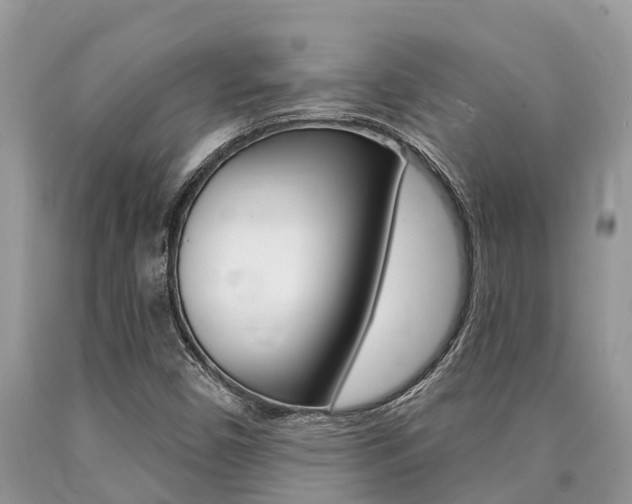X0000090711450200707200941