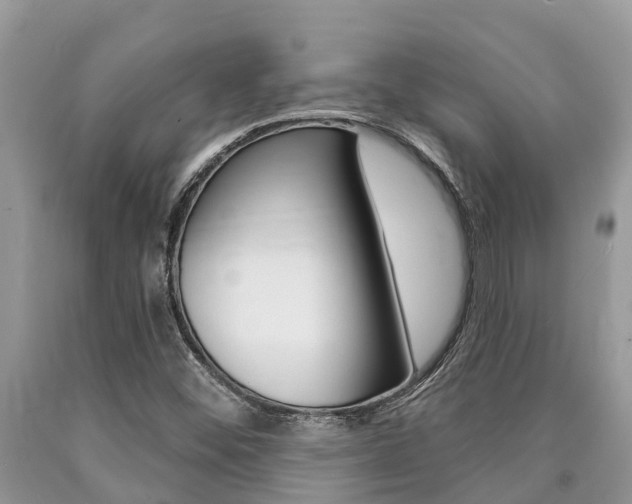X0000090711452200707200941