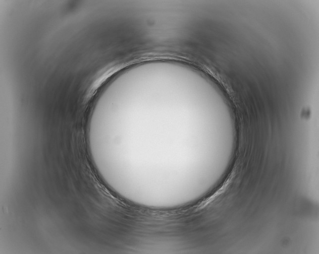 X0000090711453200707200941