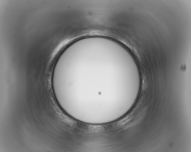 X0000090711454200707200941