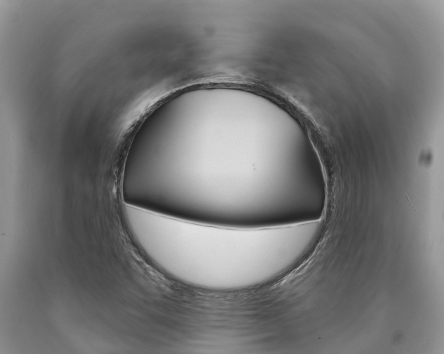 X0000090711455200707200941