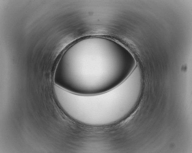 X0000090711457200707200941