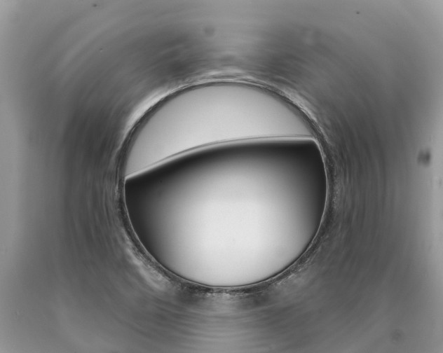 X0000090711458200707200941