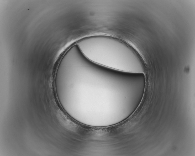 X0000090711460200707200941