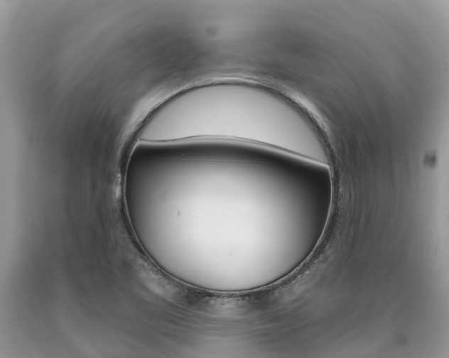 X0000090711461200707200940