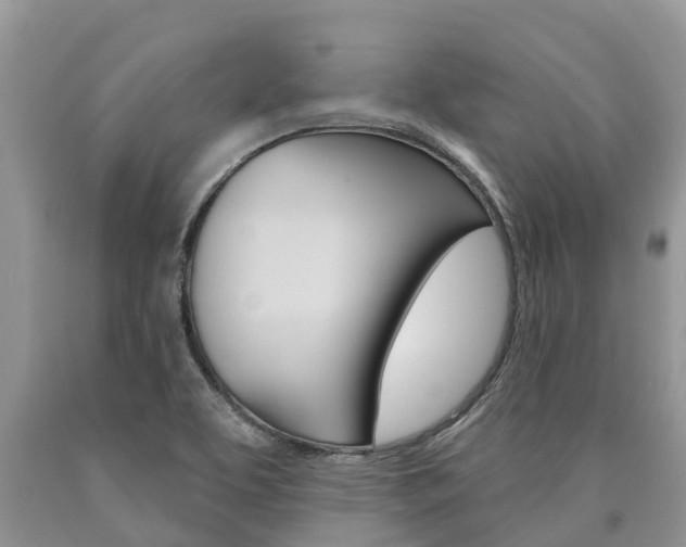 X0000090711463200707200940