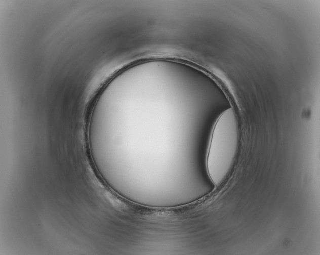 X0000090711464200707200940