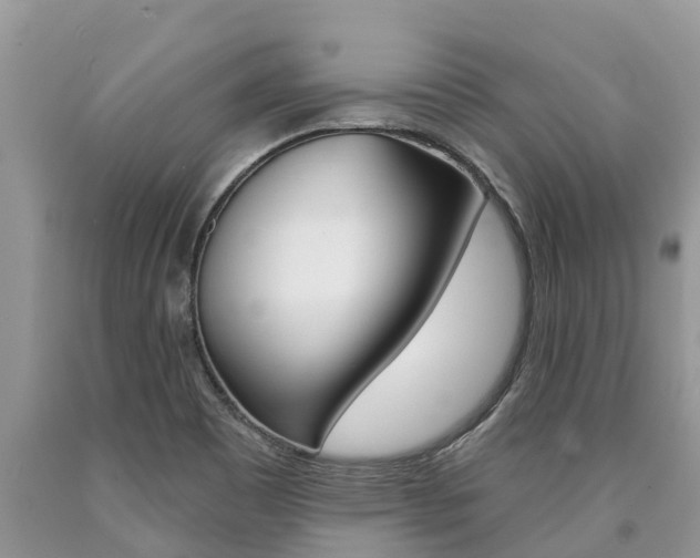X0000090711465200707200940