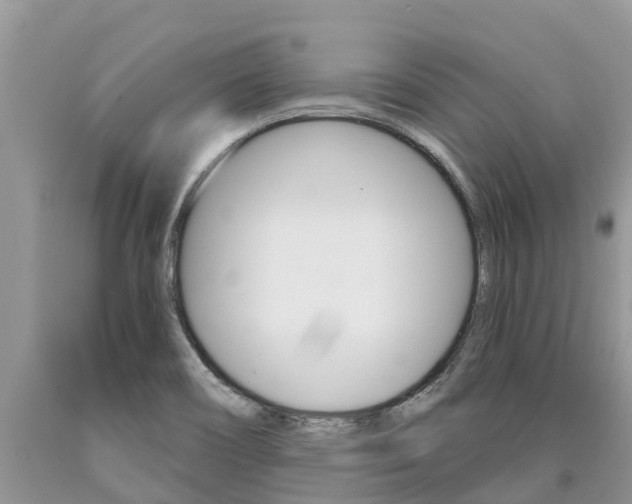 X0000090711466200707200940