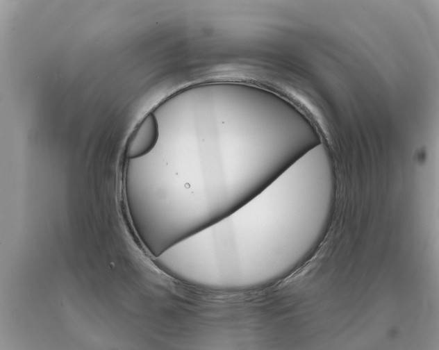 X0000090711467200707200940