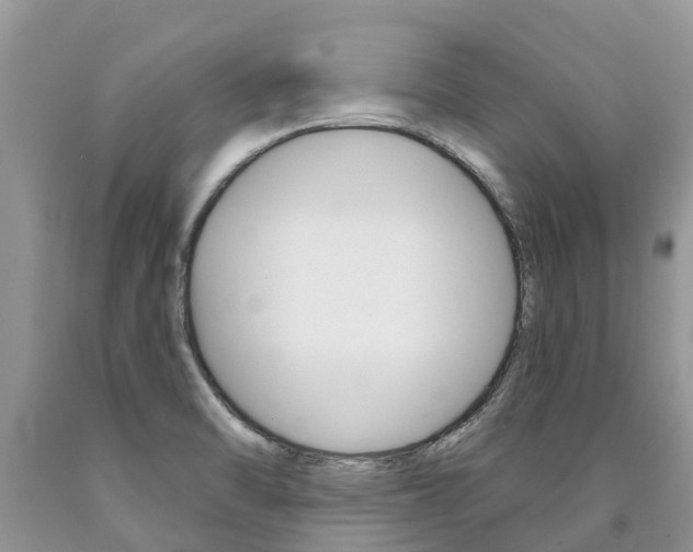 X0000090711470200707200940