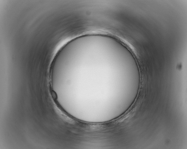 X0000090711471200707200940