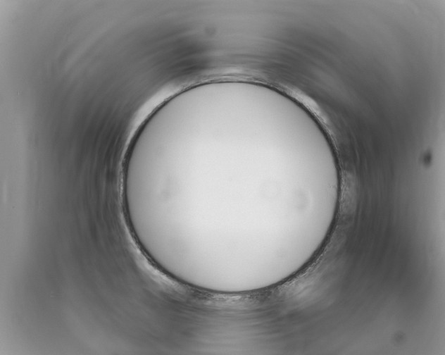 X0000090711474200707200940