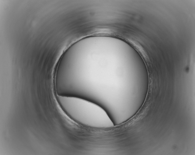 X0000090711475200707200940
