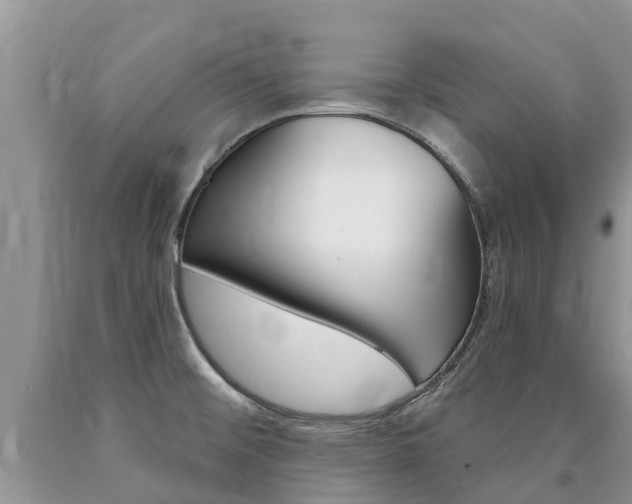 X0000090711476200707200940