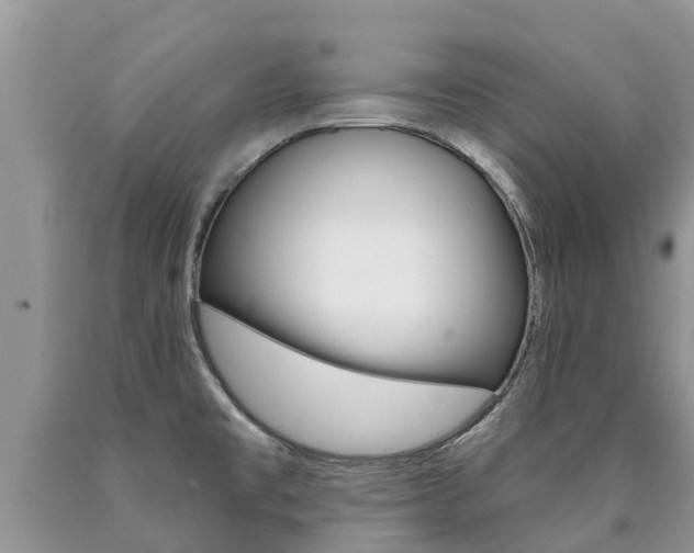 X0000090711477200707200940