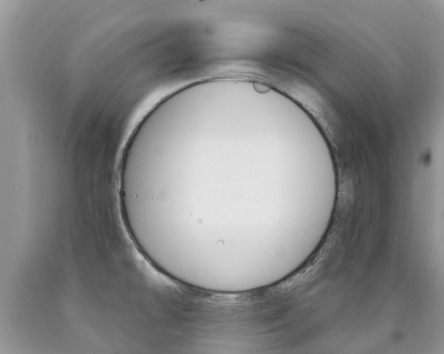 X0000090711478200707200940