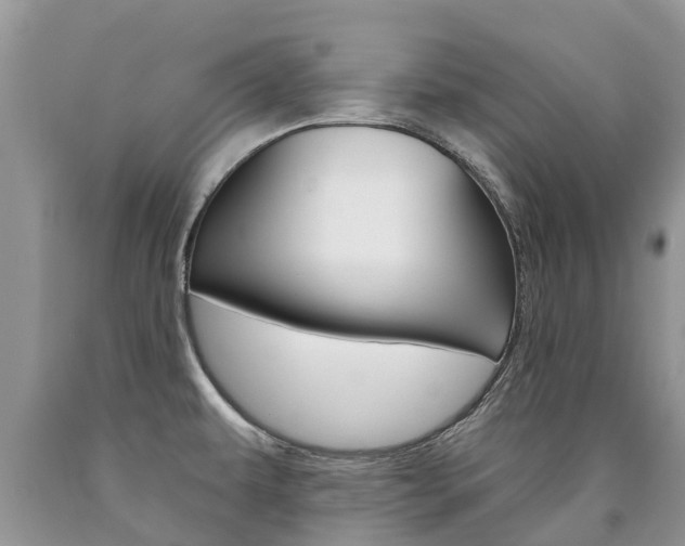 X0000090711479200707200940
