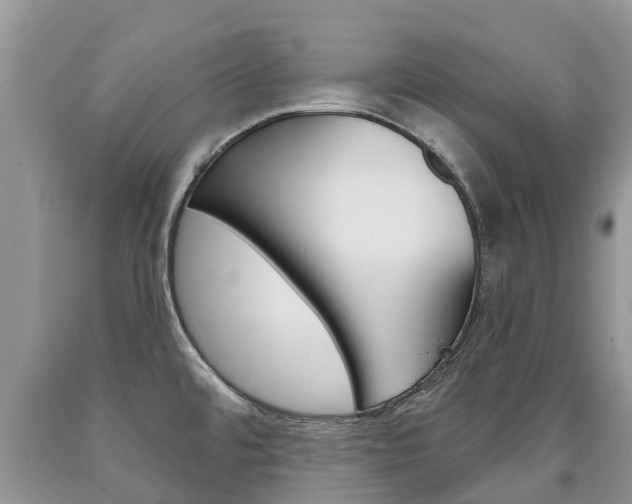 X0000090711480200707200940