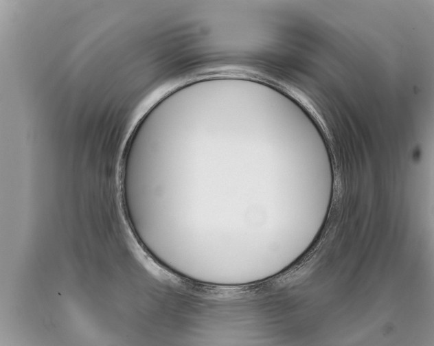 X0000090711482200707200940