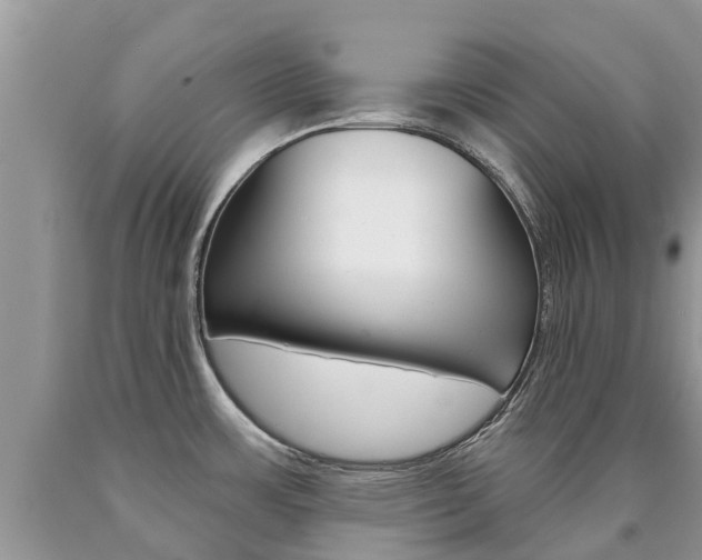 X0000090711483200707200940
