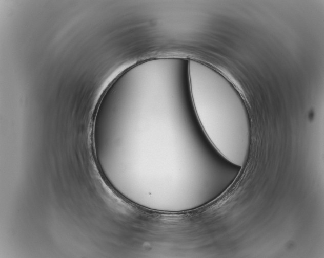 X0000090711484200707200940