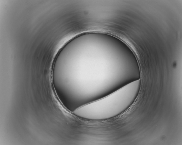 X0000090711485200707200940