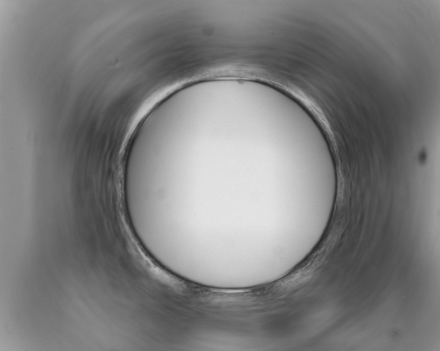 X0000090711486200707200940