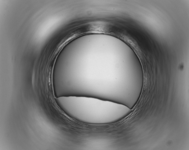 X0000090711487200707200940