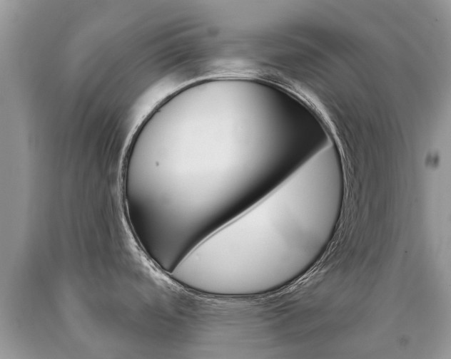 X0000090711488200707200940