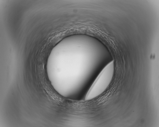 X0000090711489200707200939