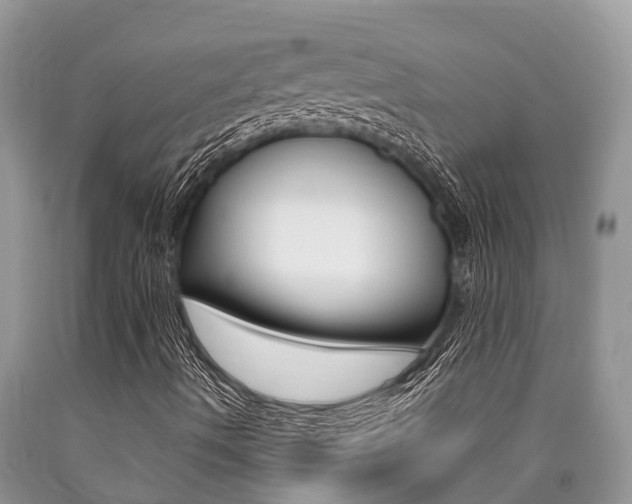 X0000090711490200707200939