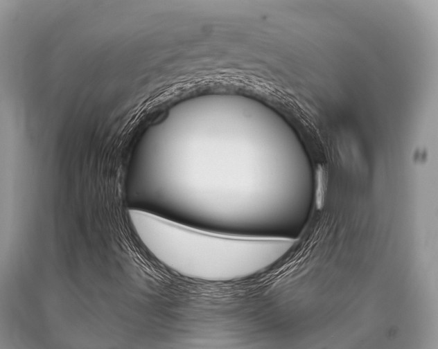 X0000090711491200707200939