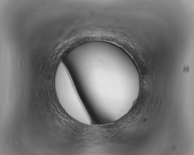 X0000090711493200707200939