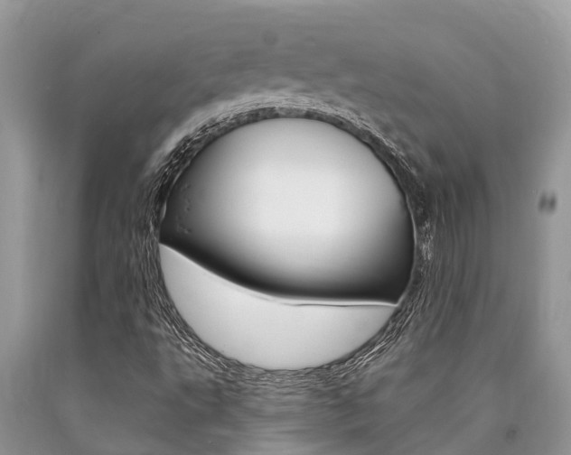 X0000090711495200707200939