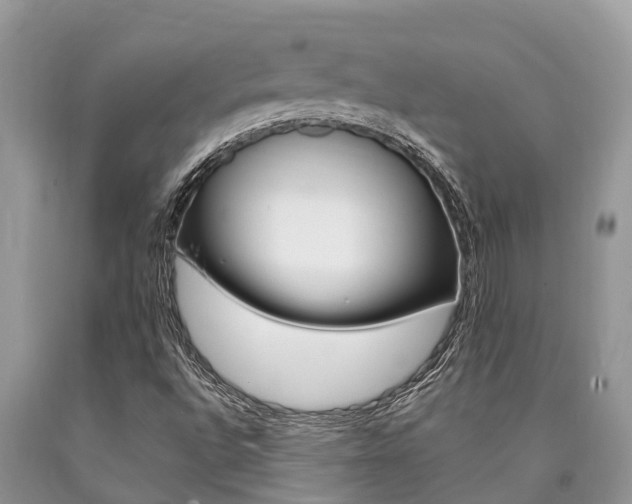 X0000090711496200707200939