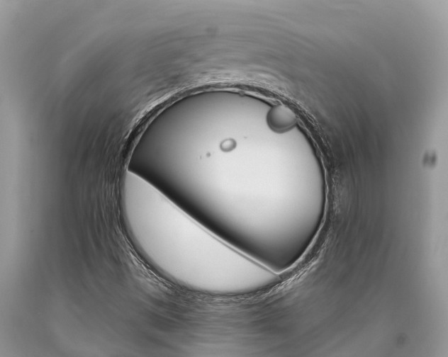 X0000090711497200707200939