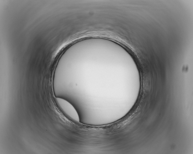 X0000090711498200707200939