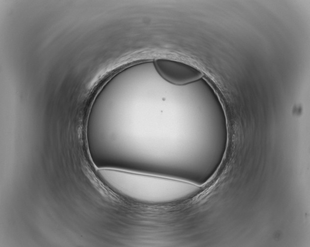 X0000090711499200707200939