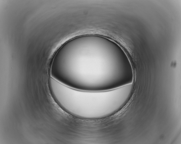 X0000090711500200707200939