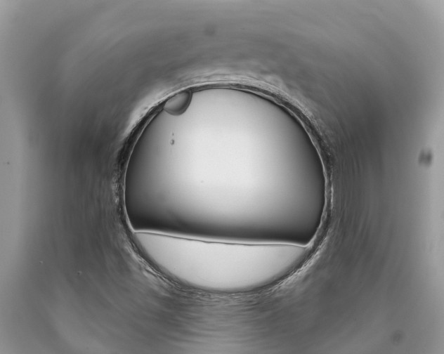 X0000090711501200707200939