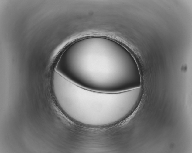 X0000090711502200707200939