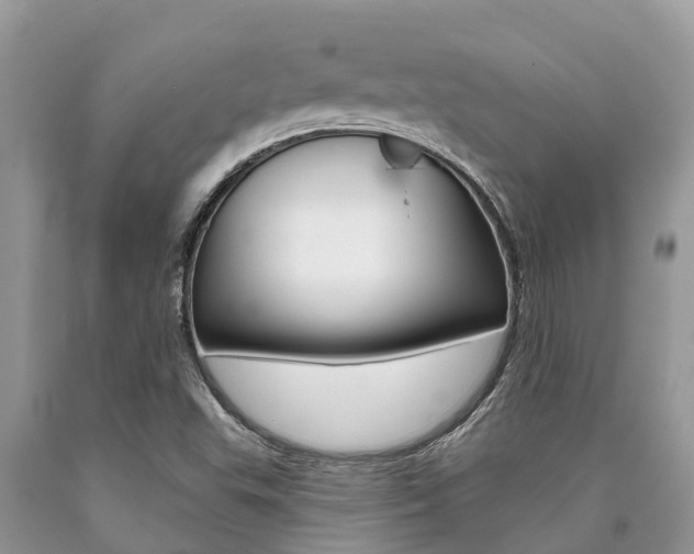 X0000090711503200707200939