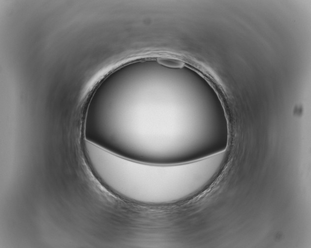 X0000090711504200707200939