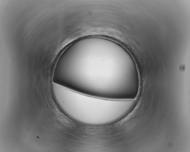 X0000090711505200707200939