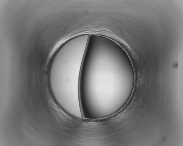 X0000090711506200707200940