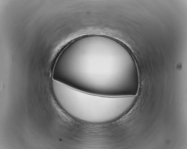 X0000090711507200707200940