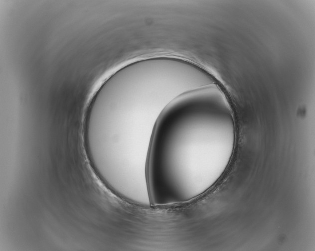 X0000090711508200707200940